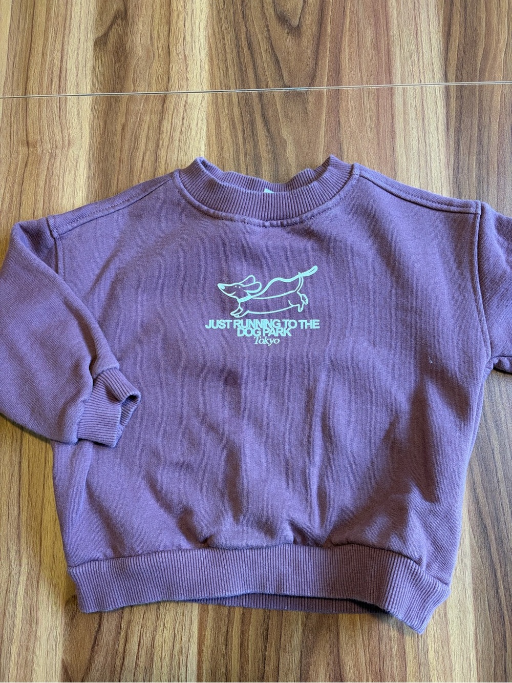 Zara 3Y Dog Park Crewneck